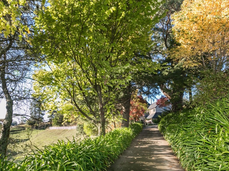 158 Poraiti Road, Poraiti, Napier - Carousel 26