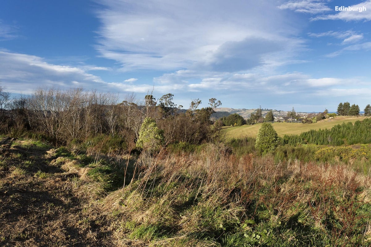6 Joshua Place, Helensburgh, Dunedin - Carousel 38