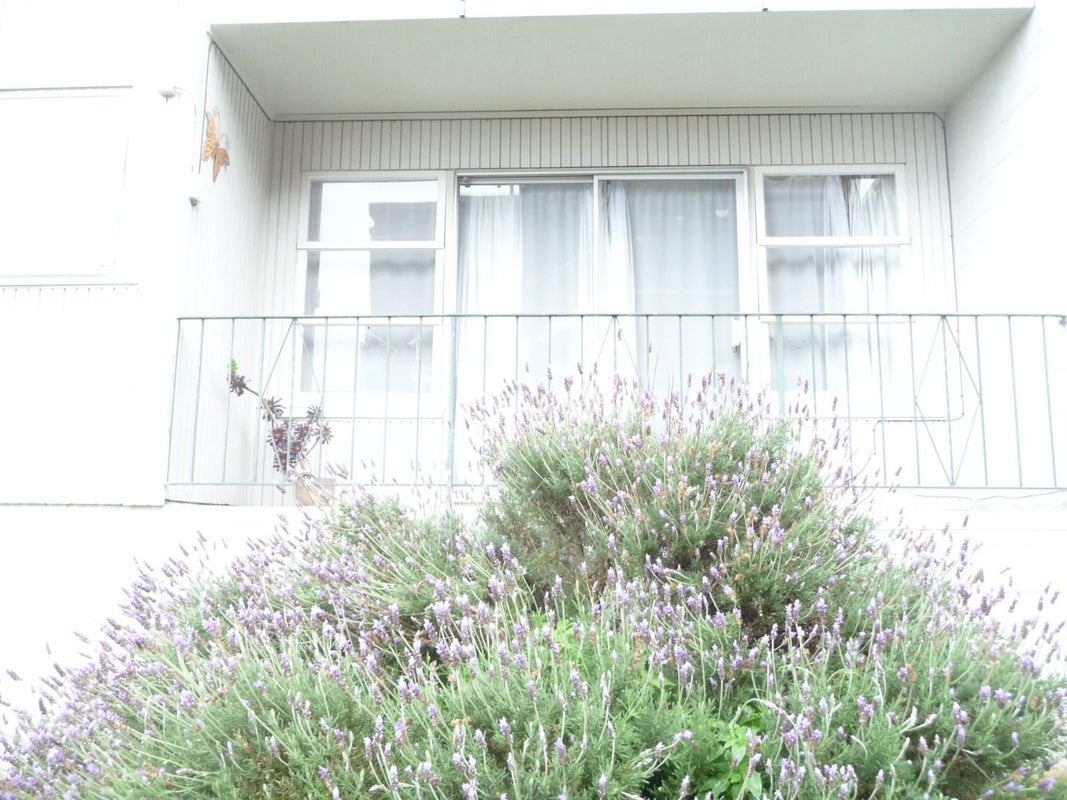 2/23 View Road, Mount Eden, Auckland - Carousel 12