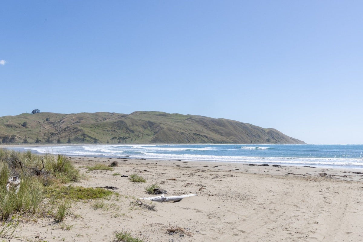 4A Shoal Beach Road, Aramoana, Omakere - Carousel 28