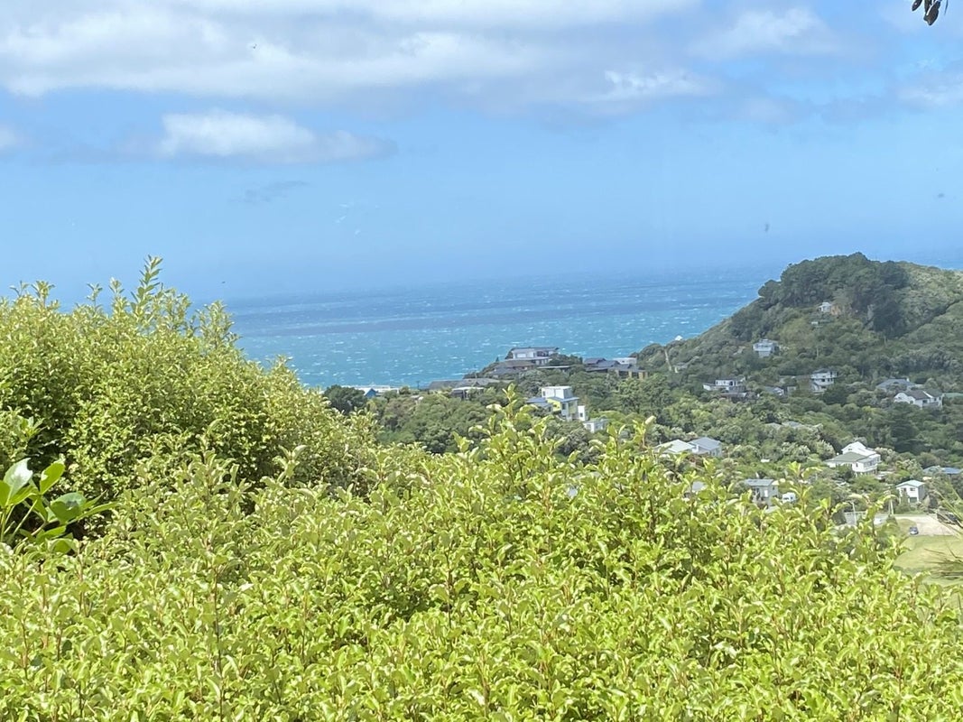 43 Houghton Bay Road, Houghton Bay, Wellington - Carousel 7