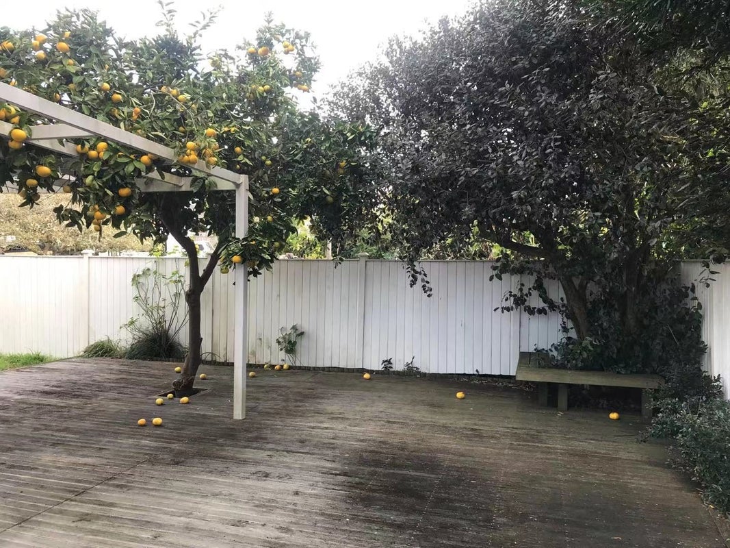 67 Milton Road, Mount Eden, Auckland - Carousel 2