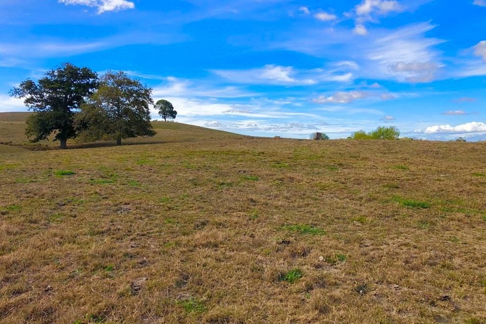 504 Falls Road, WAERENGA, TE KAUWHATA - Carousel 2