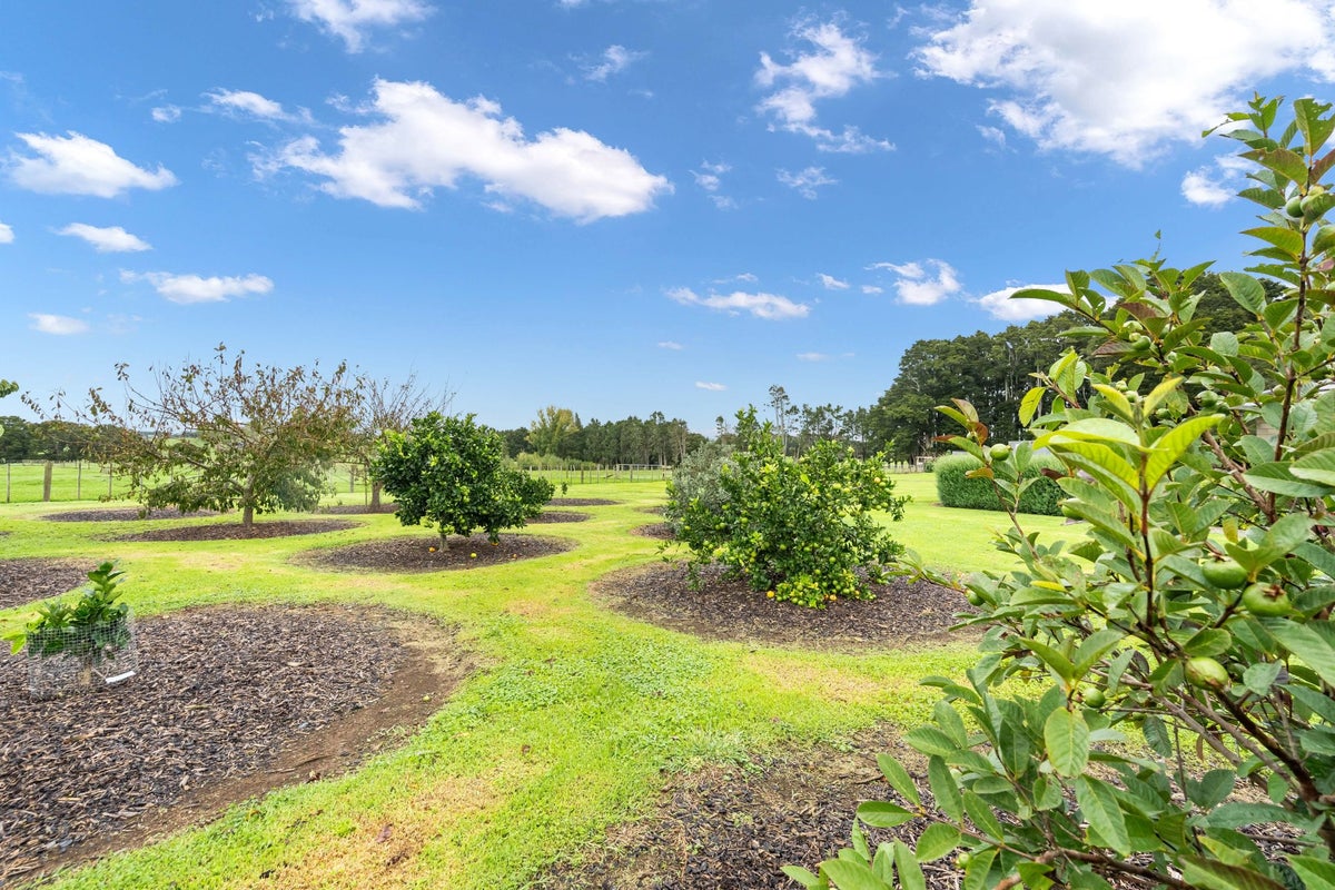 67 Worsnop Road, Ruatangata West, Whangarei - Carousel 28