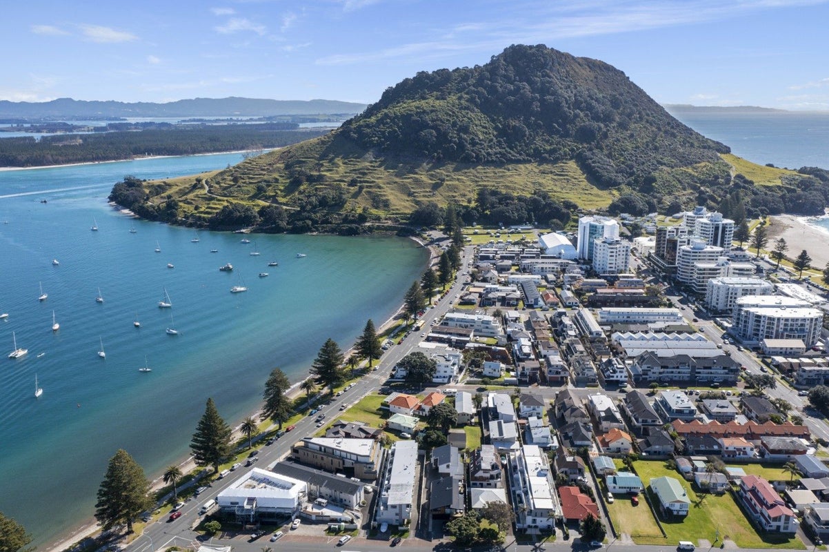 3E Grace Avenue, Mount Maunganui, Mount Maunganui - Carousel 19