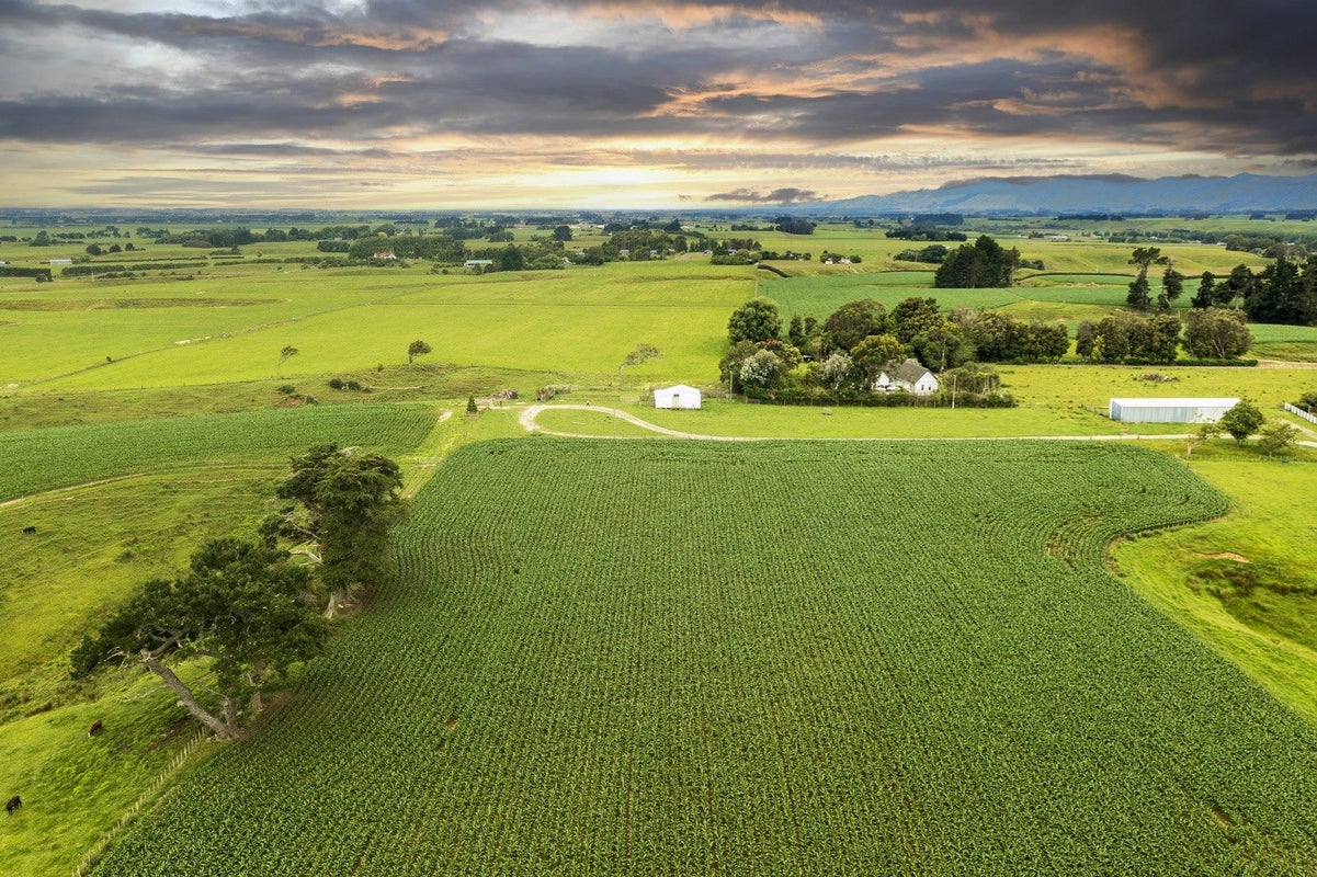 0 Koputaroa Road, Koputaroa, Shannon - Carousel 1