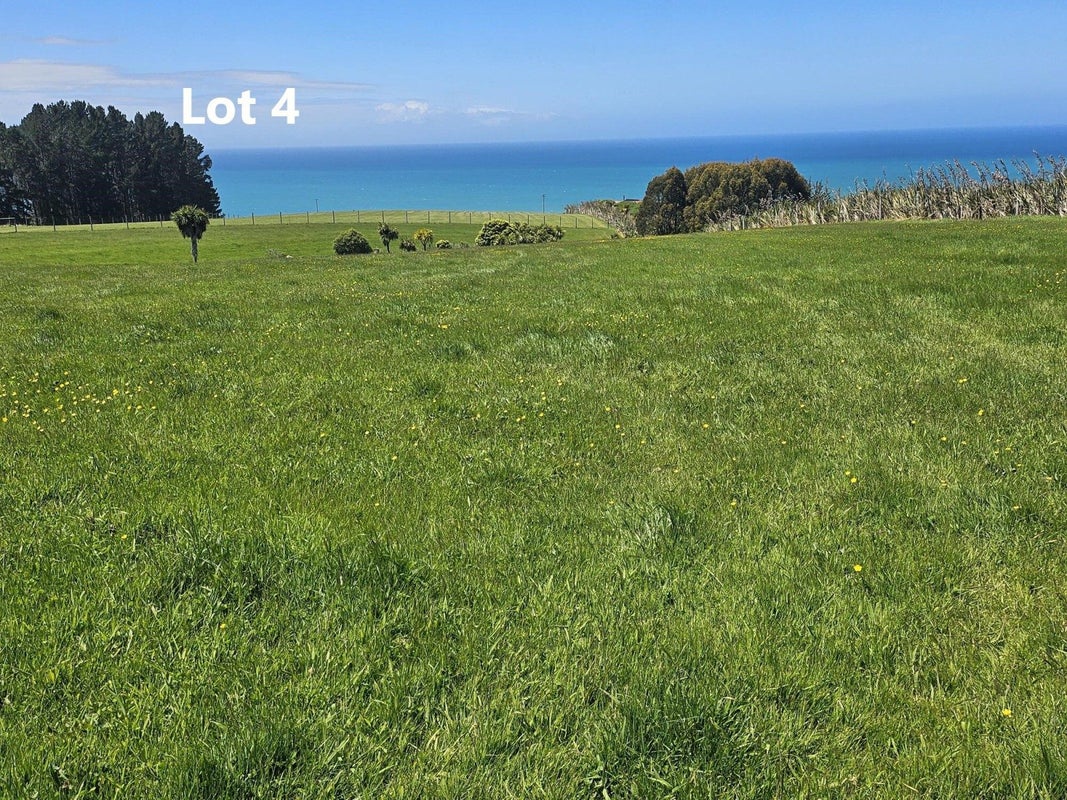38 Taieri Beach Road, TAIERI BEACH, TAIERI MOUTH - Carousel 2