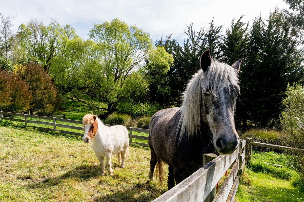 14 Saddle Hill Road, Fairfield, Dunedin - Carousel 32
