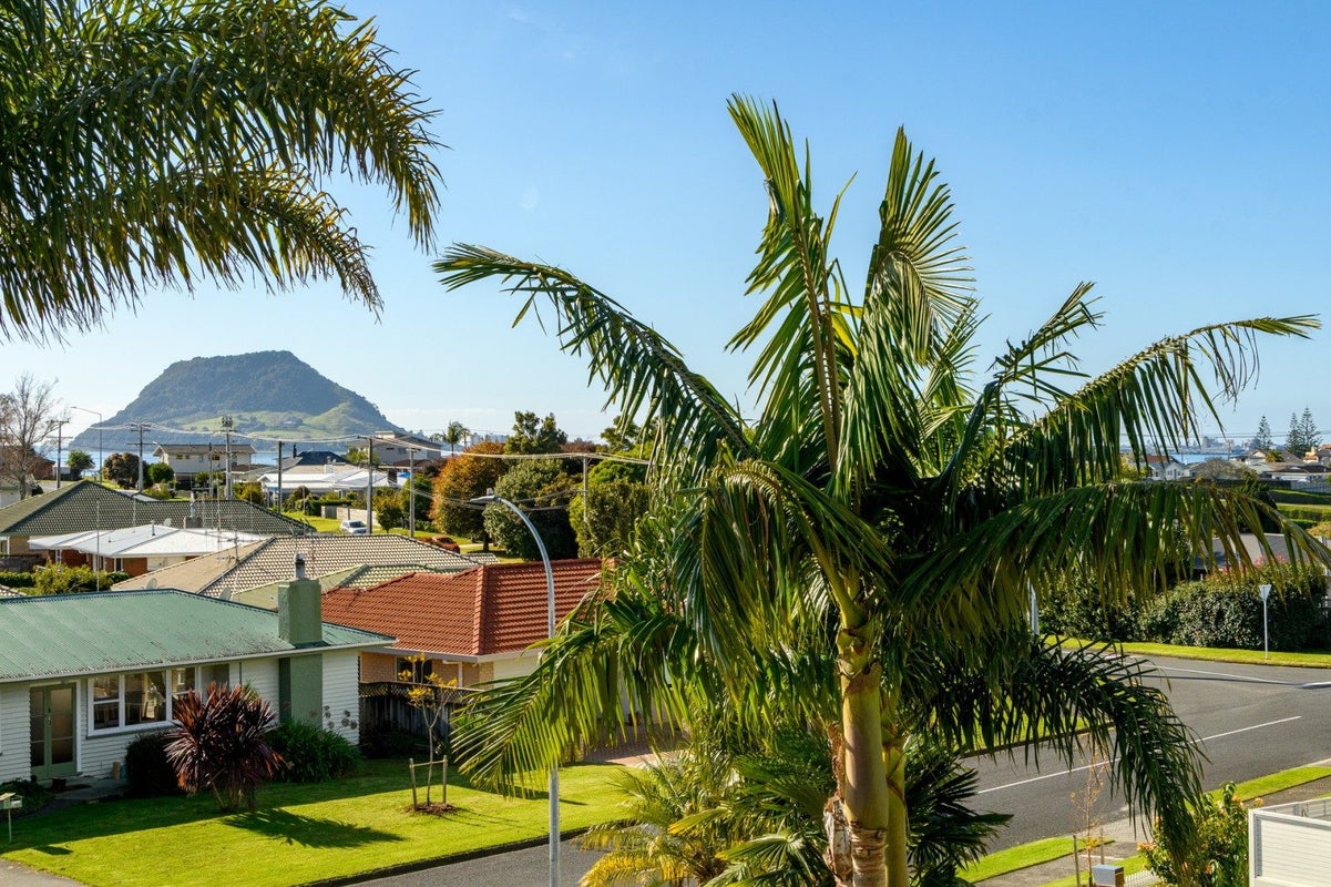 65 Freyberg Street, Otumoetai, Tauranga - Carousel 1