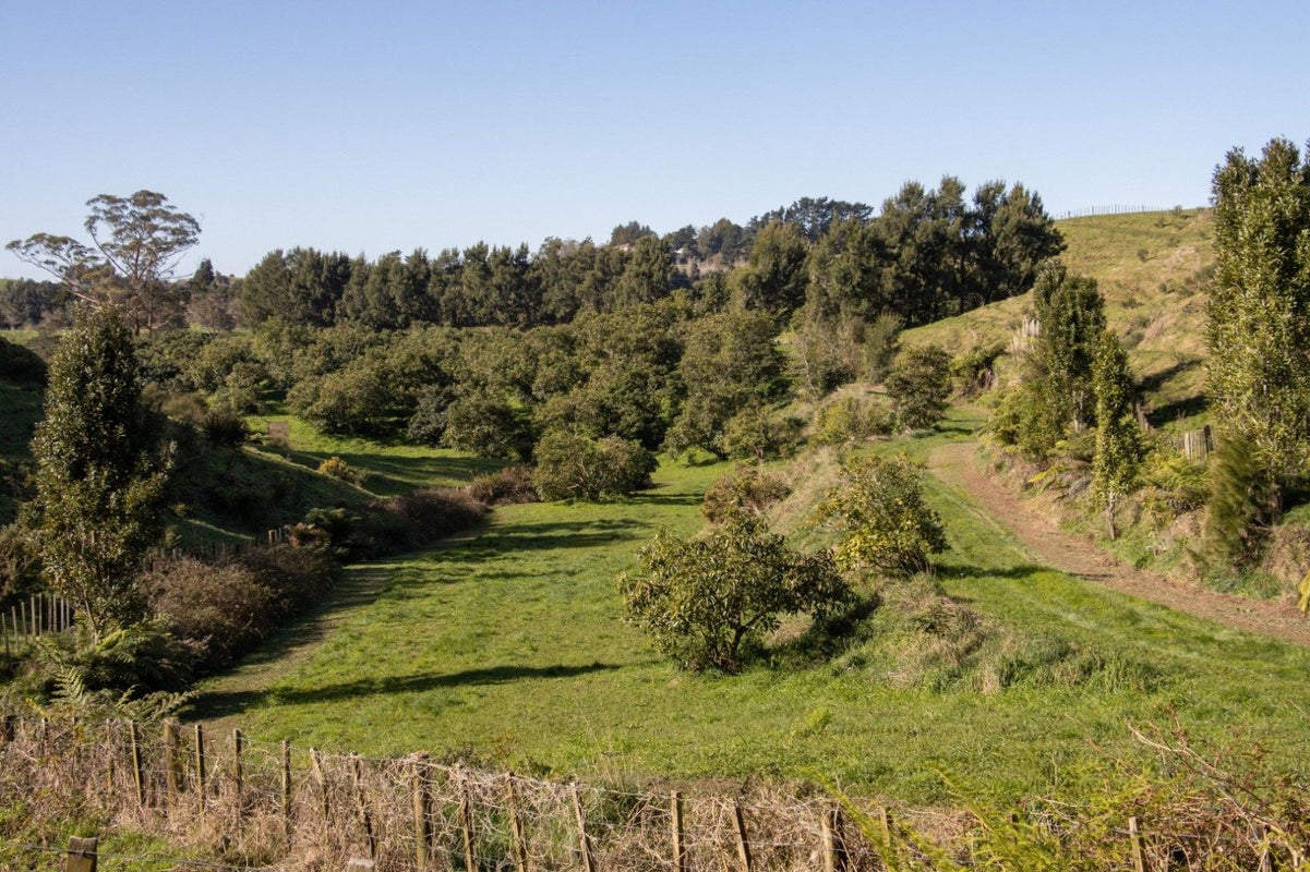231 Walford Road, Aongatete, Katikati - Carousel 29