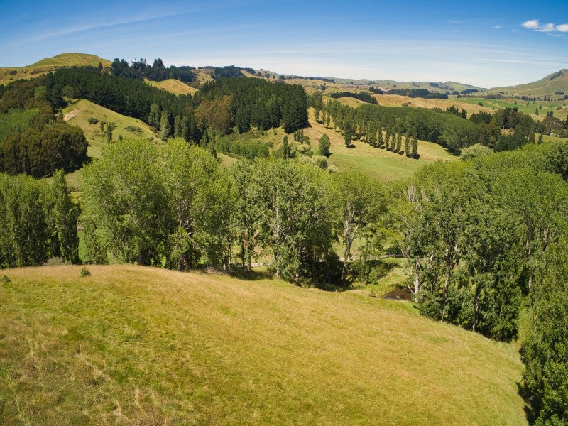 567 Maraetotara Road, Maraetotara, Waimarama - Carousel 1