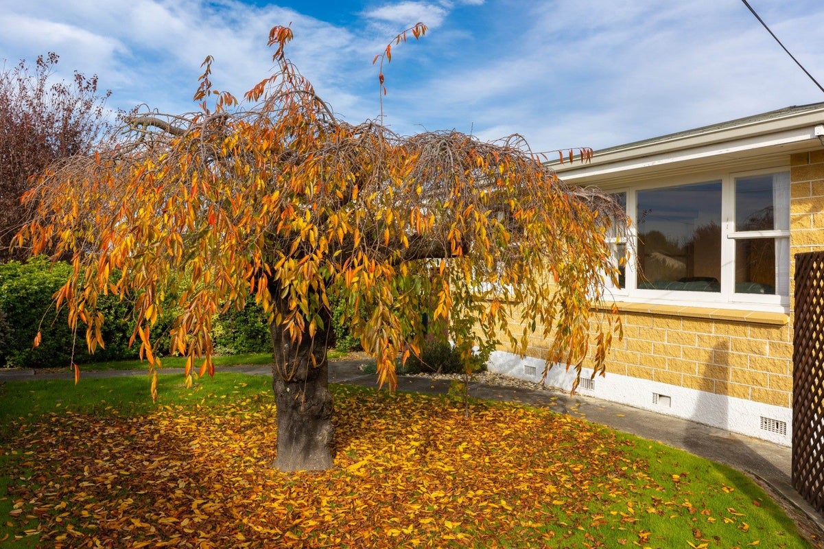23 Warwick Street, Mayfield, Blenheim - Carousel 2