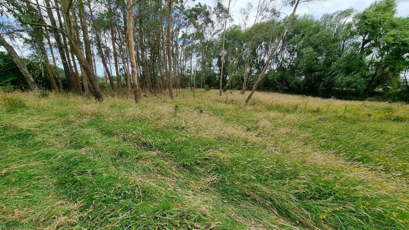 0 Pahiatua Mangahao Rd, Mangamutu, Pahiatua - Carousel 2