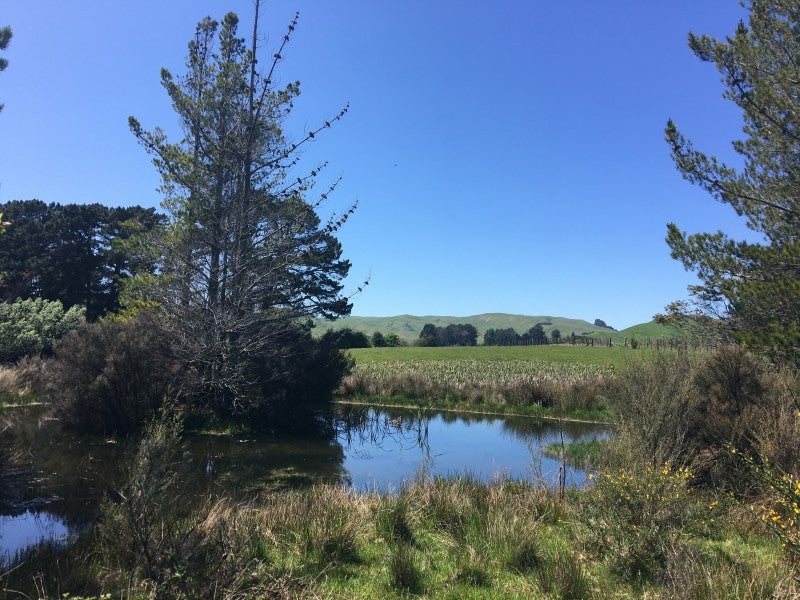 0 Stanly Street, Eketahuna, Eketahuna - Carousel 1