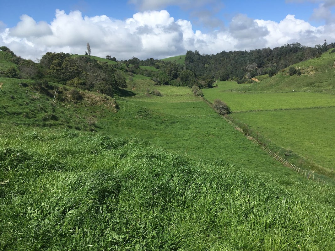 0 Gabriels Gully Road, Waiotahe, Opotiki - Carousel 5