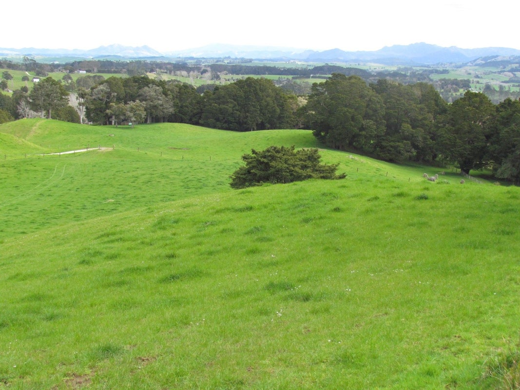 0 Tremain Road, Ruatangata West, Kamo - Carousel 30