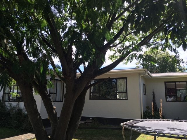 803 Park Road South, Akina, Hastings - Carousel 4
