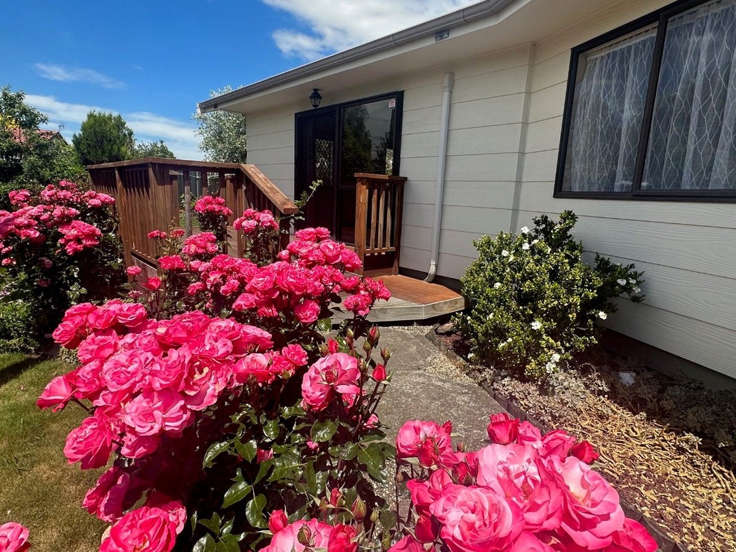 1110 Francis Hicks Avenue, Raureka, Hastings - Carousel 2