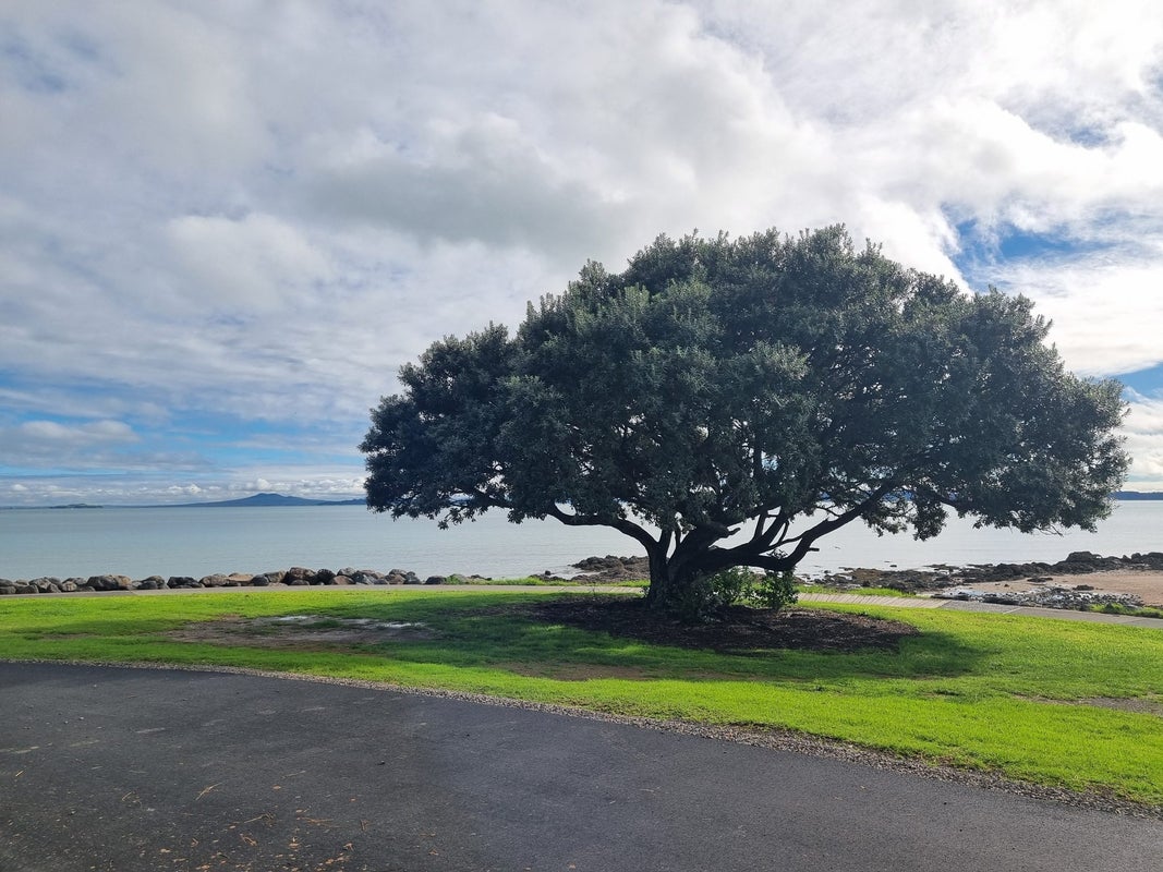55 Te Pene Road, Maraetai, Auckland - Carousel 16