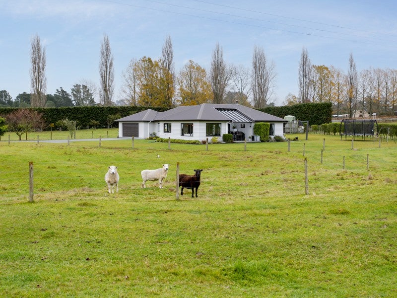 468 State Highway 1, Wairakei, Taupo - Carousel 2
