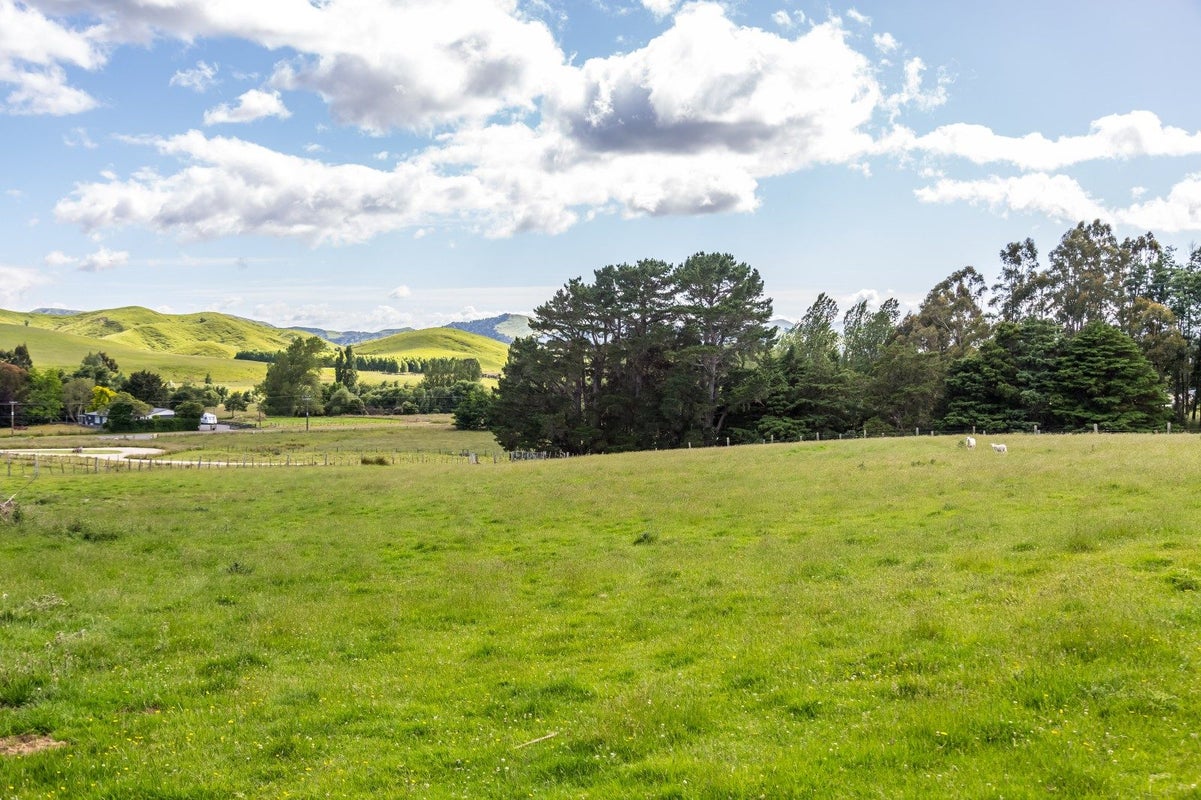 309 Mikimiki Road, Masterton - Carousel 39