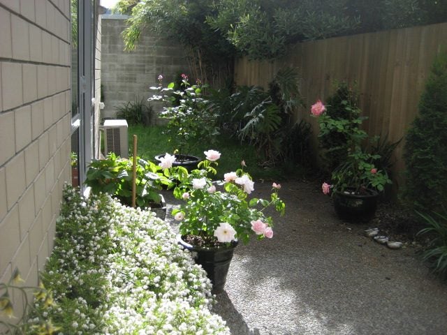 41D Austin Street, Sydenham, Christchurch - Carousel 6