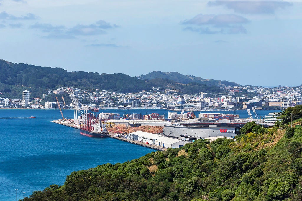 65 Rama Crescent, Khandallah, Wellington - Carousel 1