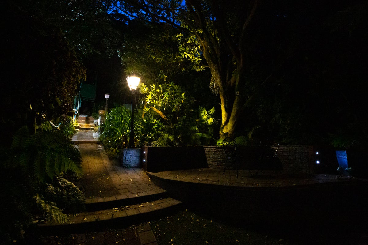 171 The Ridgeway, Mornington, Wellington - Carousel 25