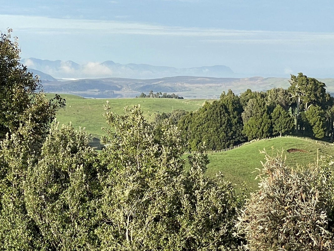 0 Newton Road, Raglan, Raglan - Carousel 11