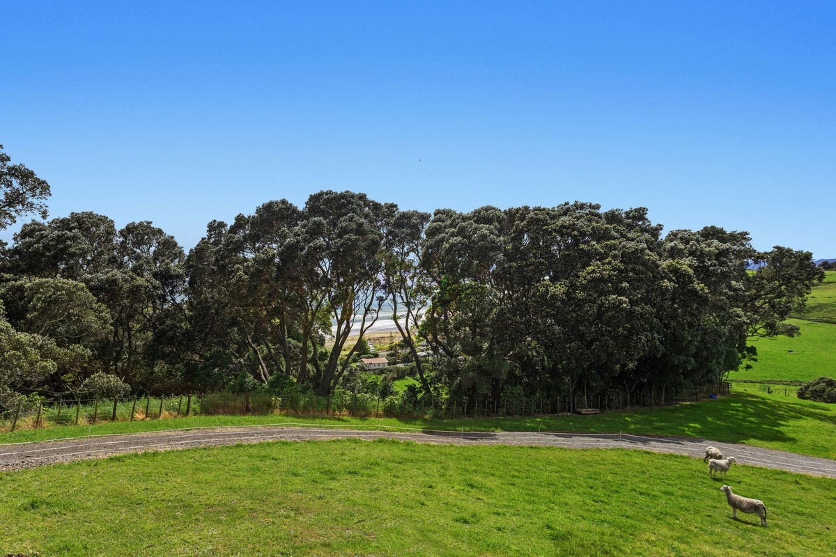 59 Pohutukawa Drive, Waiotahe, Opotiki - Carousel 33