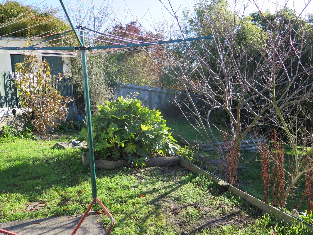 67 Arthur Street, Seaview, Timaru - Carousel 17