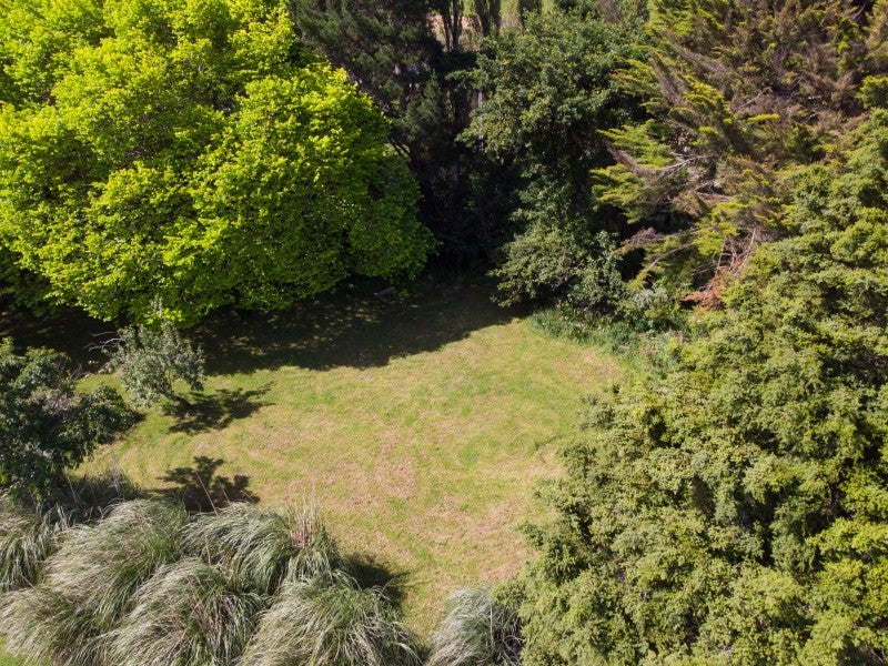 33 Norsewood Ormondville Road, Norsewood, Norsewood - Carousel 18