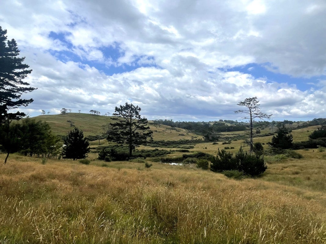 579 Duck Creek Road, Stillwater, Silverdale - Carousel 2
