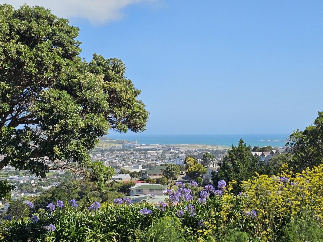 13 Tamahine Street, Maupuia, Wellington - Carousel 2