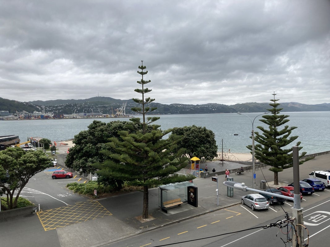 3/154 Oriental Parade, Oriental Bay, Wellington - Carousel 1