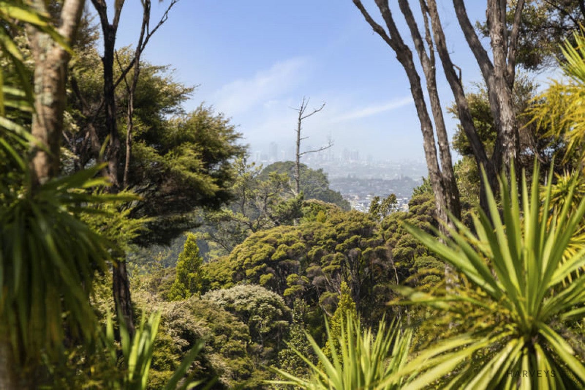 114 Mountain Road, Henderson Valley, Auckland - Carousel 2