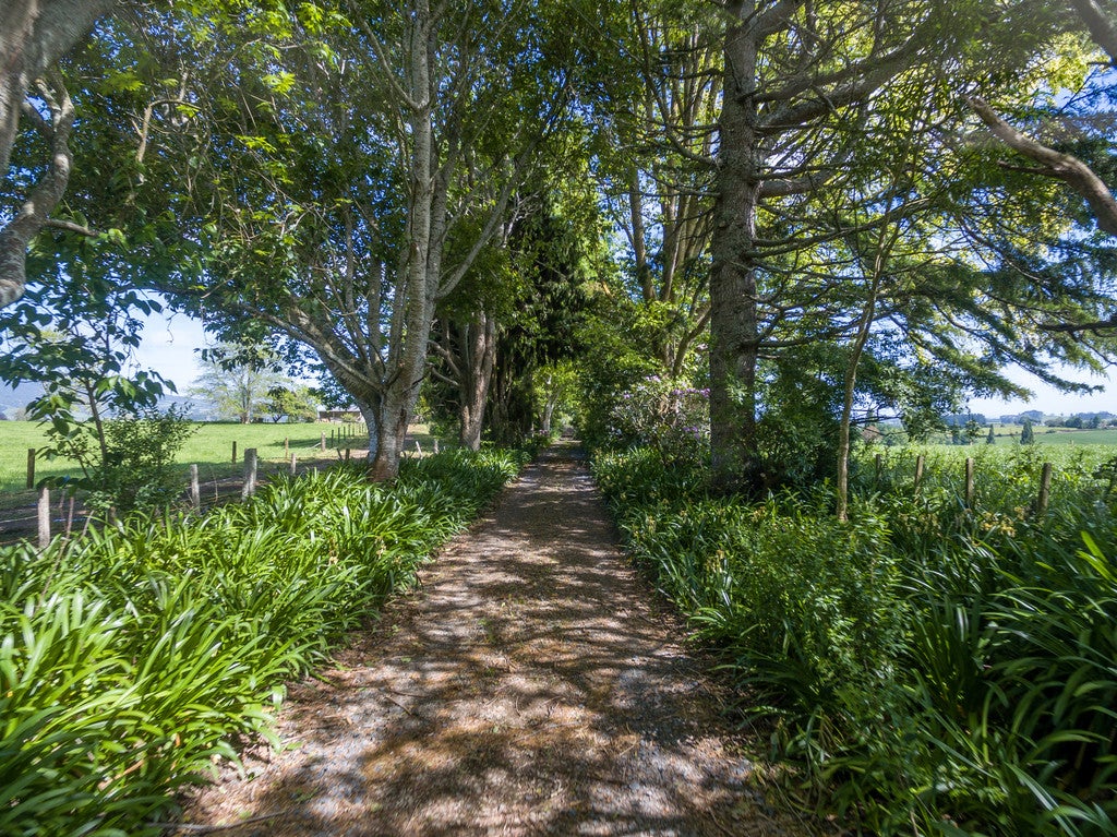 191 Bird Road, Pirongia, Te Awamutu - Carousel 1