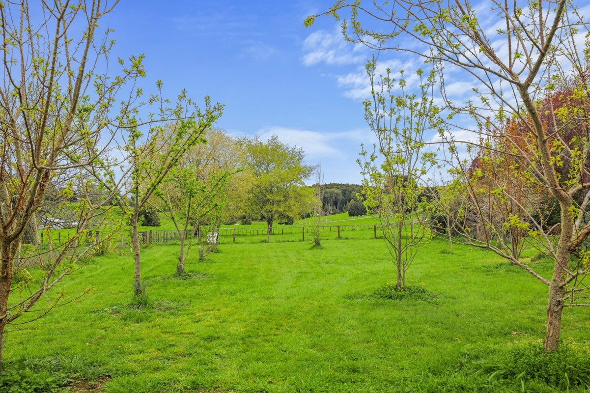 82 Mill Street, Owhango - Carousel 2