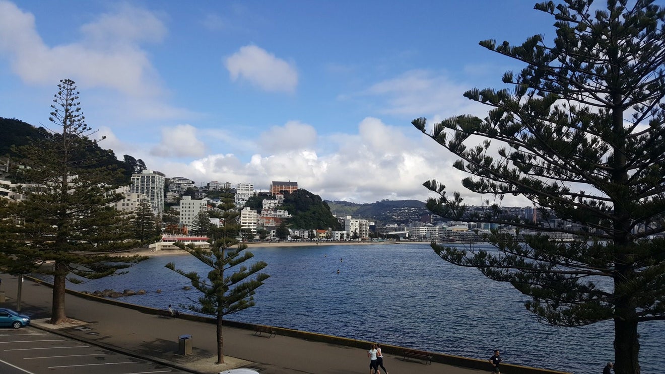 4/318 Oriental Parade, Oriental Bay, Wellington - Carousel 2