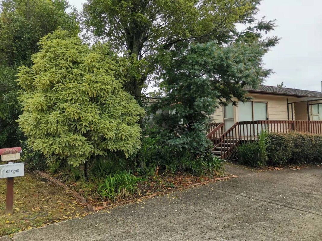49 Lavery Place, Sunnynook, Auckland - Carousel 1
