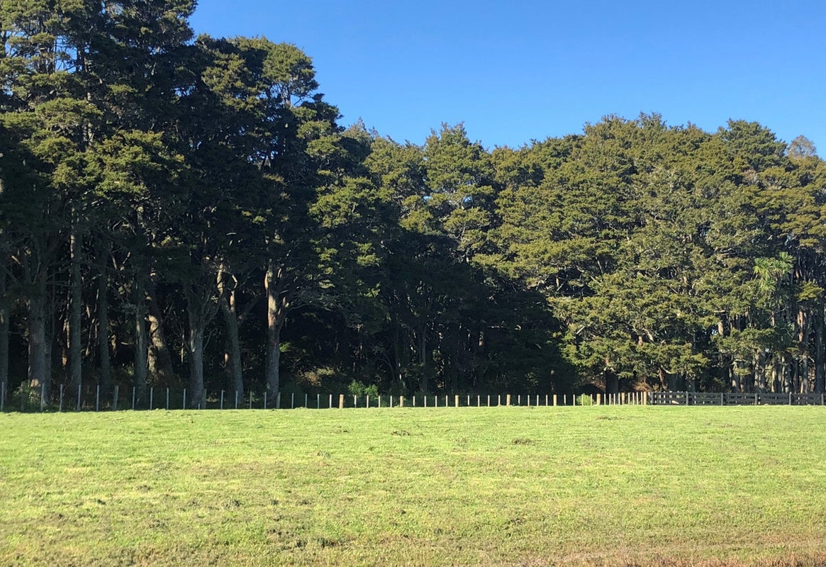 43 Vogwill Road, Kumeu - Carousel 6
