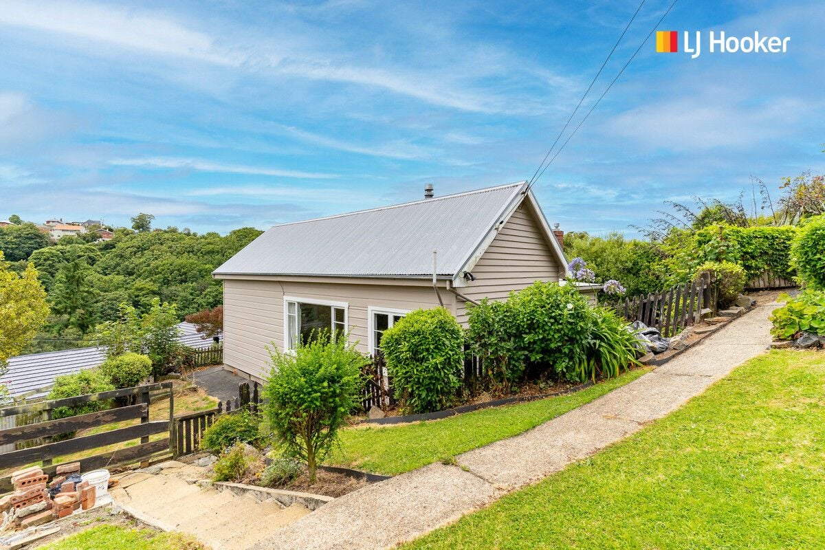 29 Carson Street, Mornington, Dunedin - Carousel 1