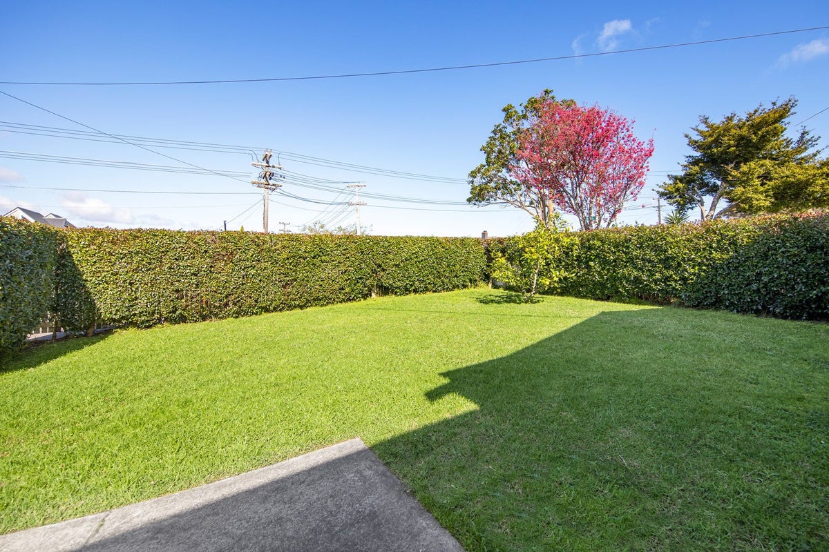 229 Meola Road, Point Chevalier, Auckland - Carousel 4