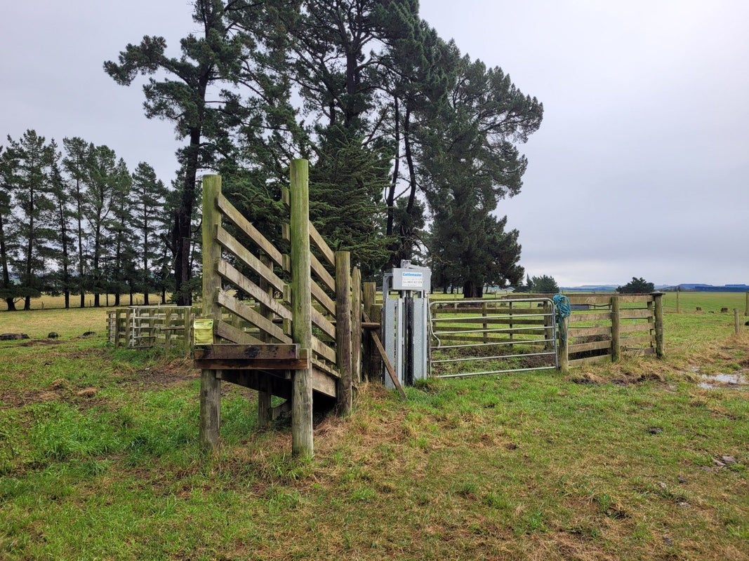 0 School Rd, Kakanui, Oamaru - Carousel 10