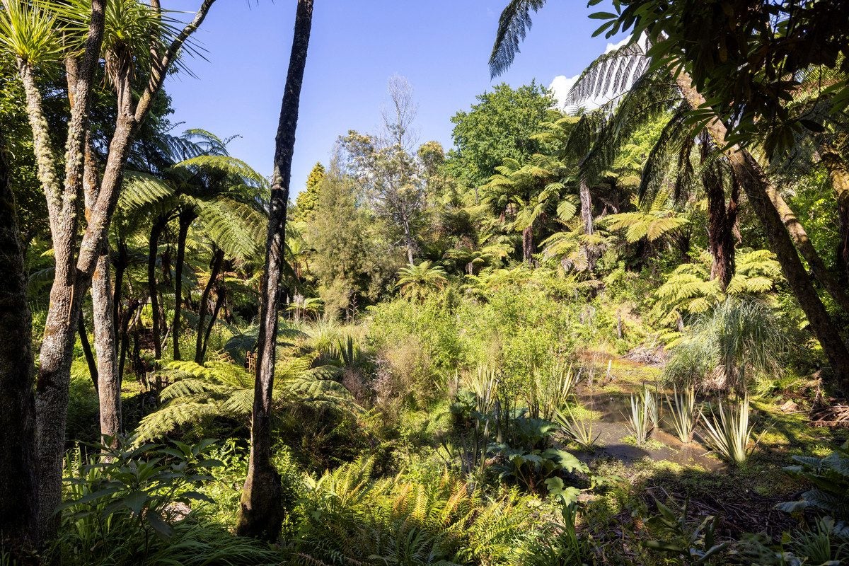 11B Stokes Road, Tahawai, Katikati - Carousel 35