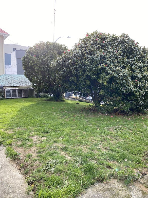 6/41 Home Street, Mount Victoria, Wellington - Carousel 8