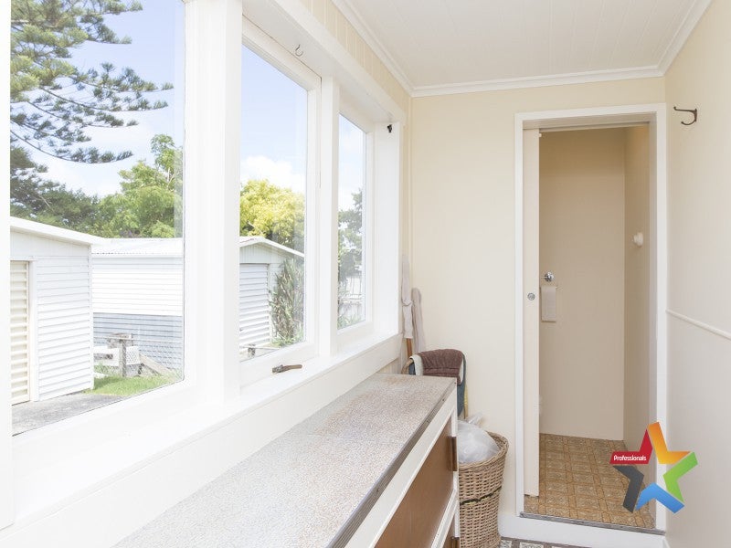 38 Miller Street, Point Chevalier, Auckland - Carousel 15