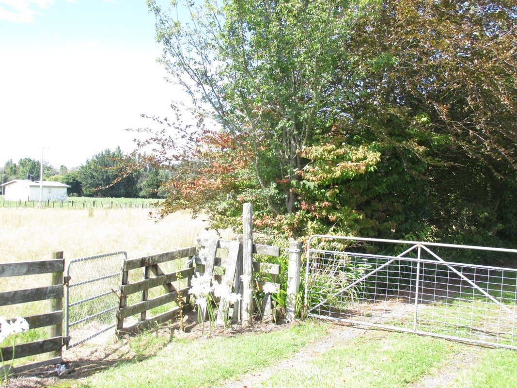 10 Humphries Street, Frasertown, Wairoa - Carousel 17