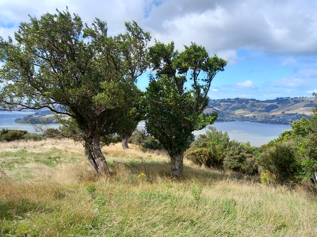 0 Kakapo Bay, Port Underwood, Picton - Carousel 11