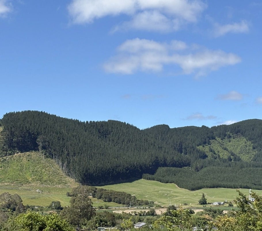 77 Hall Road, Ngongotaha, Rotorua - Carousel 2